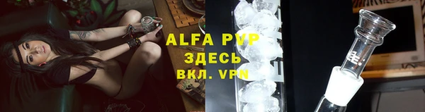 гашик Володарск