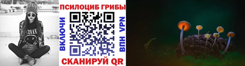 Галлюциногенные грибы мицелий  omg вход  Инсар  где купить наркотик 